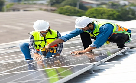 速看，這所2W人高校如何利用暑期，快速搭建綠色校園